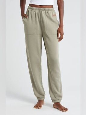 Lunya SilkSweats Reversible Joggers Sage Green EUC M